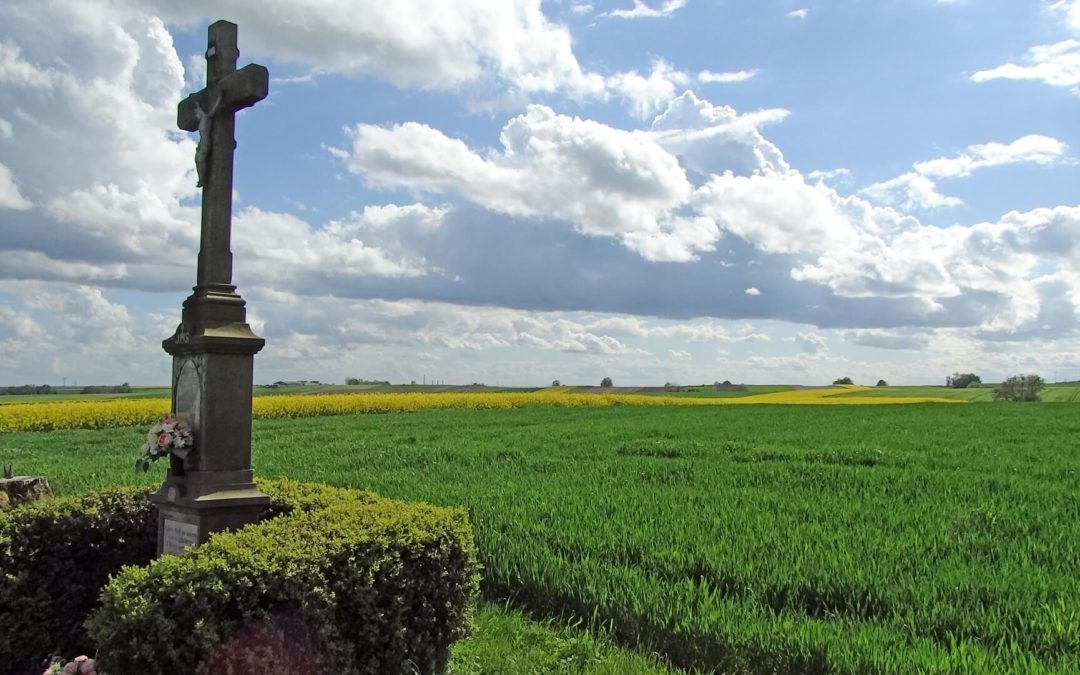 Winiarskie Opole i okolice