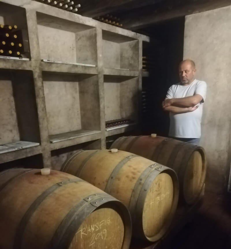 Zwiedzanie winnicy - Winiarz w Piwniczce