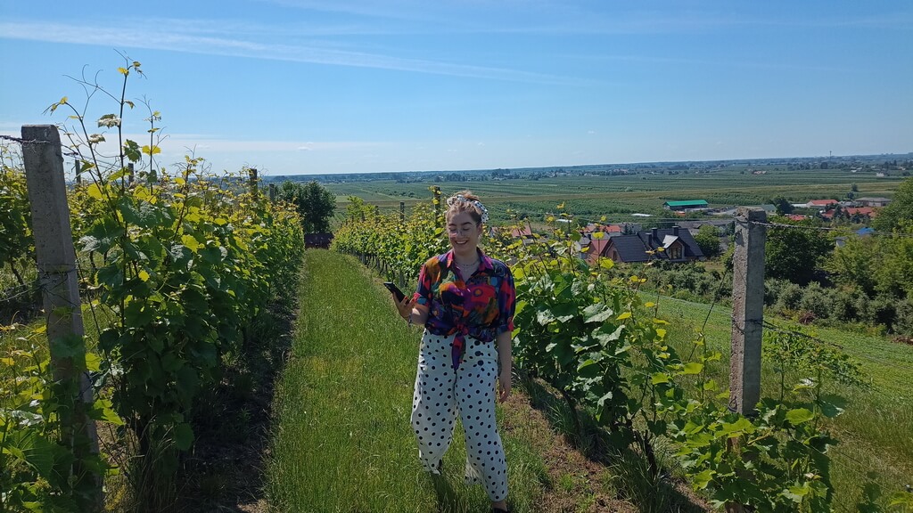 Sandomierz Wine Region Nad Jarem Vineyard