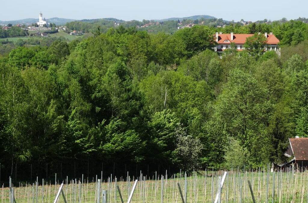 Winnica Wzgórze Lanckorońskie i sąsiadki – szukamy rowerowego krajobrazu i rodzinnych historii