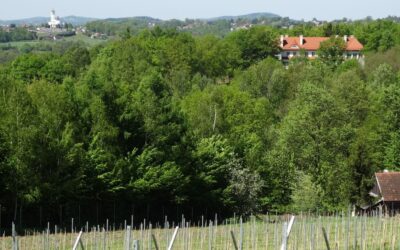 Winnica Wzgórze Lanckorońskie i sąsiadki – szukamy rowerowego krajobrazu i rodzinnych historii